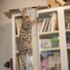 050416_sans titre_040-26